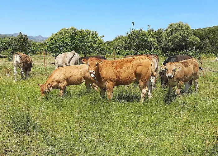 奥尔维尔农家乐 农家乐 波萨达