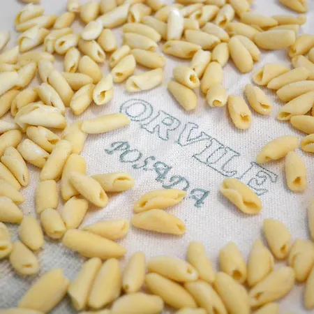 Orvile * Posada (Sardinia)